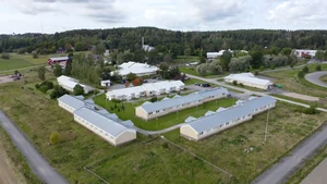 Pienikuva
