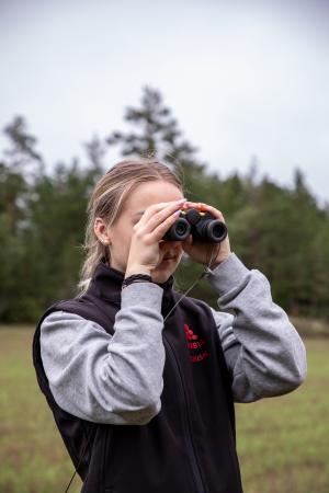 Miniatyrskiss