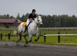 Pienikuva