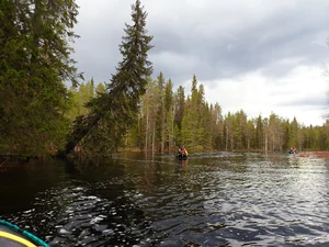 Pienikuva