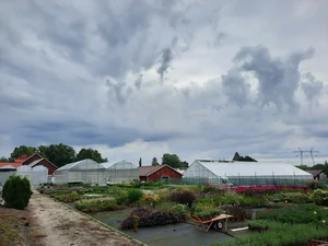 Pienikuva